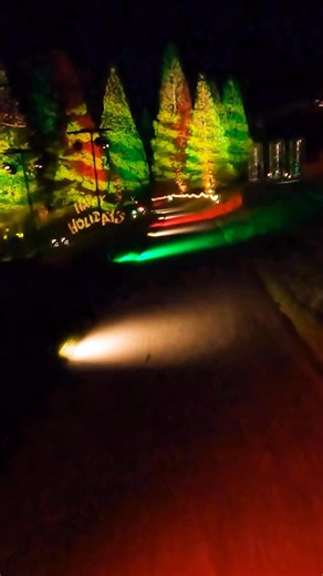 As the leaves fall, the magic rises. Look ahead and get ready for twinkling winter nights From 21 Nov - 31 Dec, Bedgebury National Pinetum hosts a new light trail with Tree Stars, Floating Candles, dragonfly lanterns and the serene Choir of Trees ✨ 🎟️Book now for a festive evening with family, friends (four-legged ones welcome too)! | My Christmas Trails