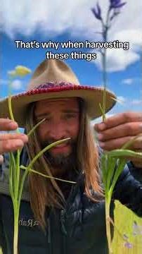 Camas VRS death camas