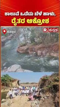 Tungabhadra Canal Breach Causes Flooding: ಕಾಲುವೆ ಒಡೆದು ಬೆಳೆ ಹಾಳು, ರೈತರ ಆಕ್ರೋಶ