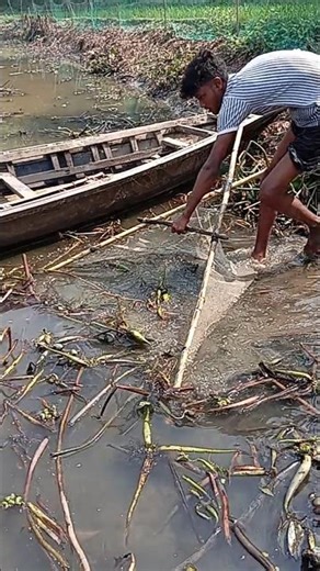 Amazing village fishing – we are catching hidden fish.” #birdfish