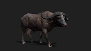 Realistic Buffalo 3D Model - 3D model by WildMesh 3D (@WildMesh_3D)