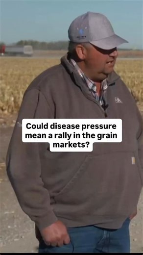 Could disease pressure mean a rally in the grain markets?🤷‍♀️ Scott Ford of Hi-Line Ag near Bertrand hopes so. Watch the full segment on this week’s episode of @market_journal!📺 | Rural Radio Network