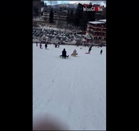Sledding session takes a funny turn when two sleds crash into each other