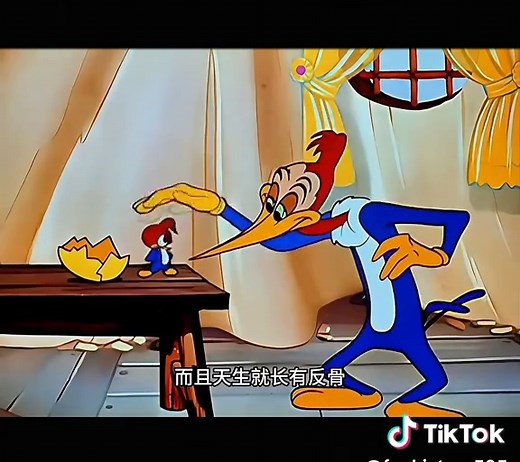 Funny Cartoon Video Compilation for All Ages