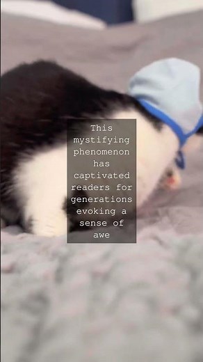 The Enigmatic Cheshire Cat A Whimsical Master of DisappearanceIn the whimsical world of...