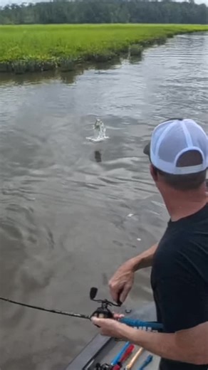 Gary Key on Instagram: "@spro.usa Cover Jumper is absolute 🔥🔥 Pair it up with an @missile_baits Spunk Shad trailer and you got the juice‼️ @irodfishing Quercus Mid Crank. Get it all @copperstatemarinetackle #jamesriver #virginiafishing #sprofishing #irodfishing #missilebaits"