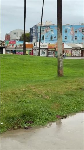 Nice view of Los Angeles beach #travel #beach