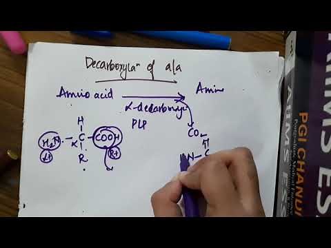 decarboxylation of amino acids || Biochemistry