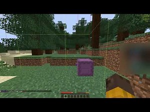 How to dupe on any minecraft server with this dupe mod | minecraft 1.21.4 dupe