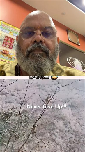 Story of every ones life. One who tries gets fruit of life. Never give up. #shortsviral #viralshorts