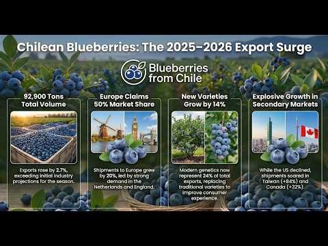 The 2026 Chilean Blueberry Boom: Genetic Shifts & Global Strategy Secrets