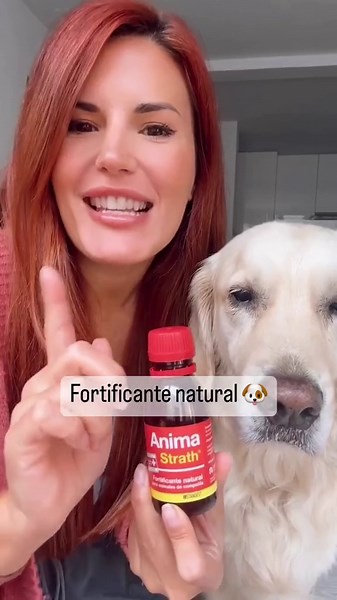 How I Boost My Dog’s Health with a Natural Supplement