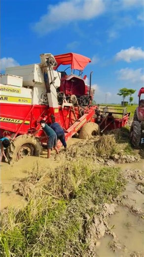 #dhan_kata_machine #tractor #mahindra_tractor #novo655