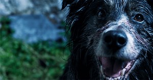 The Hallow - Trailer