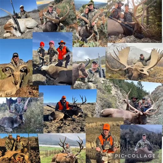 No Limits Hunting on Instagram: "2025 WAS ABSOLUTELY UNREAL. Aoudad in the Glass Mountains of West Texas ➝ Moose in the absolute wild of the Yukon ➝ Red Stag on the cliffs of New Zealand ➝ Elk in the mountains Utah ➝ Mule deer in Colorado. Miles traveled. Dreams chased. Memories for life. This year was on another level. @nolimitshunting @bigspiz @jwhind @_hind.site_ @andy.israel @sdoutfitters @ahrensranchandwildlife @corjuhunting @orangecorncompany @christensenarms @silencerco #nolimitshunting #