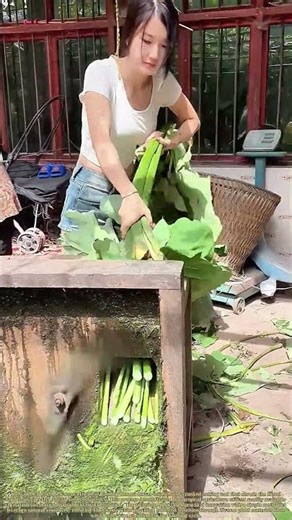 Leaf to Feed: How Tropical Foliage Transforms Into Nutritious Animal Sustenance