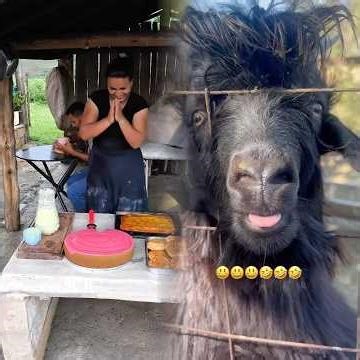 quando o marido chega do trabalho #vaiprofy #casal #foy #fyp #fouryou #f#pov #funny #fyp #humor