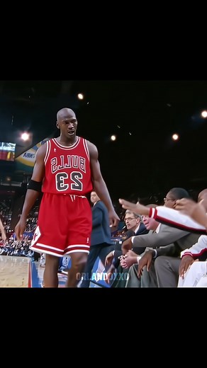 Ant and MJ Comparison: Identical NBA Stars