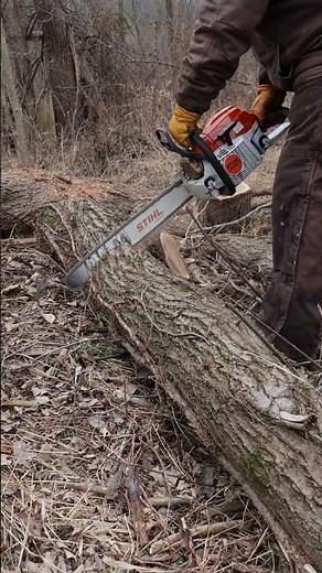 Stihl MS261C-M Chainsaw #chainsaw #stihl #firewood #woodcutting