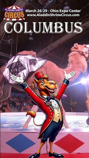 🎪🔥 BIG TOP. BIGGER THRILLS. 🔥🎪