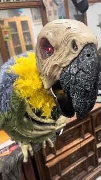 New 2026 Home Depot Halloween Rotwing Parrot Animatronic Demo