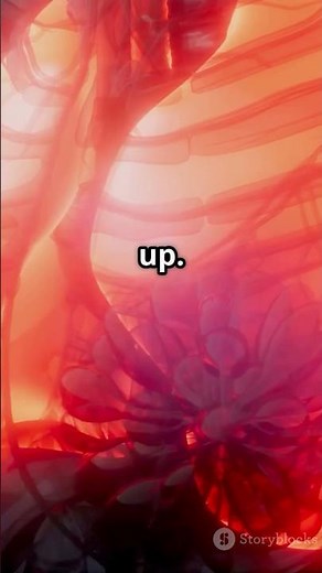 What is Popcorn Lung? Explained!