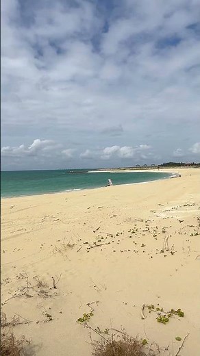 寒中水泳🏊？寒中トレーニング🏋🏿？？2026年1月27日（火）