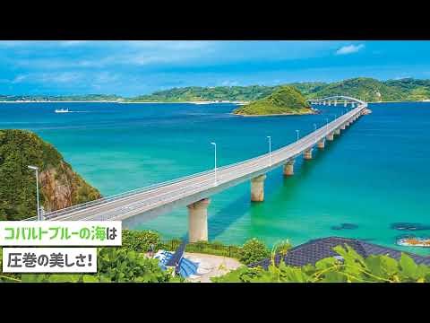 【九州】絶景と道の駅グルメを満喫！おすすめ日帰りドライブコース４選！