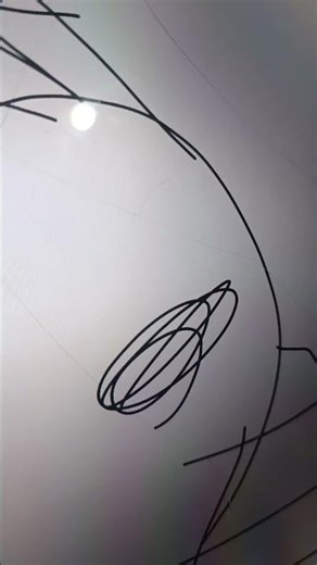 spinosaurus size comparison