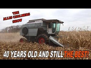 Still The Best! Corn Harvest 2025 With the Allis Chalmers Gleaner N6 Combine