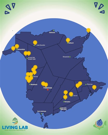 This map showcases the locations of the 23 farms in New Brunswick taking part in the Living Lab climate-smart initiatives. These farms are trying out all kinds of practices, from advanced nitrogen management, enhanced forage and pasture management, advanced cropping systems, and practices that improve overall landscape functionality. We have circled the two farms located in Salisbury that we work with directly. Thank you to Living Lab New/Nouveau Brunswick for this amazing opportunity! --- This 