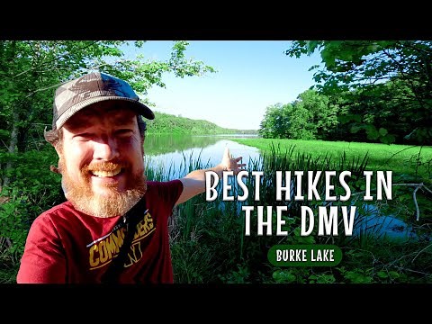 The NoVa Hike Everyone Can Do Is At Burke Lake Trail | Best Hikes Near DC