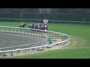 (HD画質再アップ)2006年12月24日有馬記念 ディープインパクト引退レース