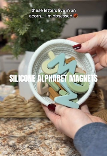 These silicone alphabet magnets are such a fun way for toddlers and preschoolers to practice letter recognition. Soft, colorful, and perfectly sized for little hands — plus they come in the cutest acorn basket for easy storage. A screen-free learning toy that actually gets used. #ToddlerLearning #PreschoolActivities #AlphabetLearning #MontessoriInspired #ScreenFreePlay If you want it shorter, m