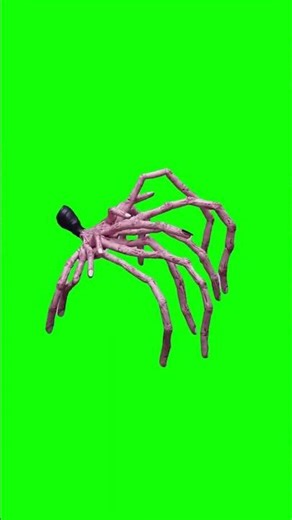 Creepy horror creature made entirely of fingers Green Screen