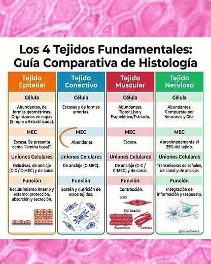 Guía rápida de Tejidos animales