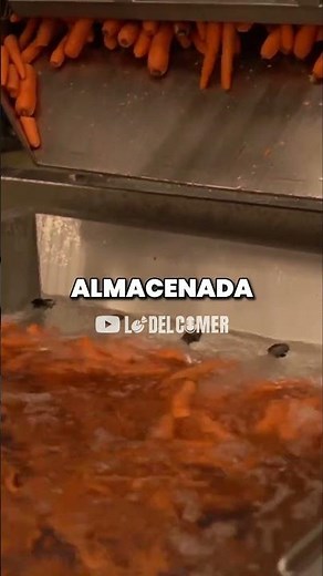 ¿Cómo se lavan las verduras en la industria alimentaria? 🥕 #shorts #viral #industria
