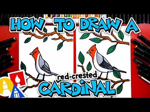 How To Draw A Red-Crested Cardinal - Videos For Kids