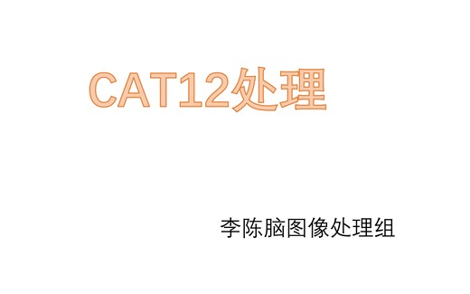 CAT12处理