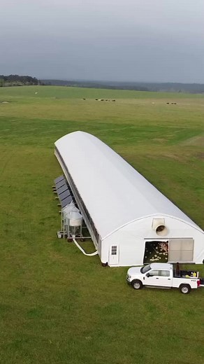Un poulailler mobile qui avance tout seul grâce à l’énergie solaire ! Ce système révolutionnaire permet aux poules d’avoir accès en permanence à de l’herbe fraîche et des insectes, tout en évitant l’accumulation de fientes et les mauvaises odeurs. En plus d’être écologique et économique, il améliore la santé et le bien-être des poules en leur offrant plus de liberté de mouvement. De plus en plus d’éleveurs adoptent cette solution pour une gestion durable des pâturages et un élevage plus respectu