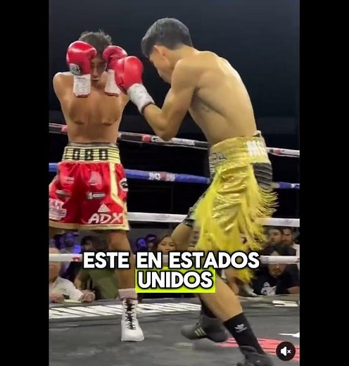 BOX AZTECA EN VIVO HOY SÁBADO 4 DE ABRIL 2026 🔴 Azulito Ramírez vs Zurdo Rodríguez