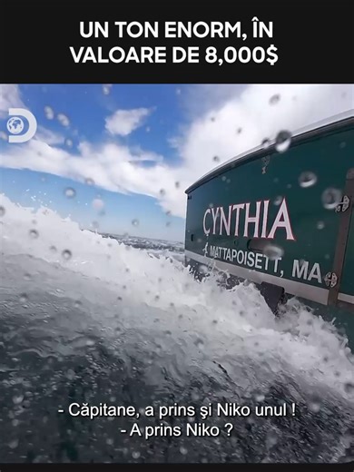 Captură de Ton: Ziua de Succes în Pescuit