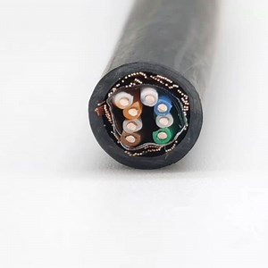 [Hot Item] Flrycy Insulated Sheathed Thin Wall Thermoplastic Screend Automotive Cable
