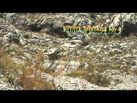 ΚΥΝΗΓΙ ΠΕΡΔΙΚΑΣ No4 - ΤΟ KYΝΗΓΙ ΚΑΙ ΤΑ ΜΥΣΤΙΚΑ ΤΟΥ Νο 26 treiler