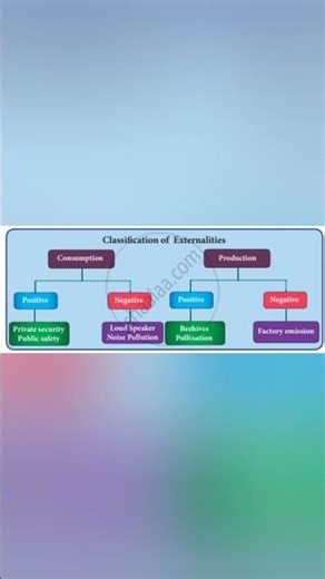 what is externality #types of externality