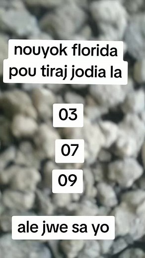 Florida Lottery Draw Results: Today's Winning Numbers