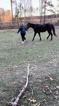 Ladybug now has COPD