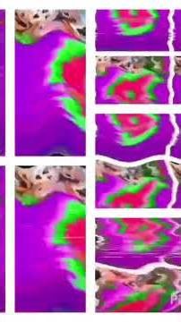 Pbs Kids Dash logo effects 8 round