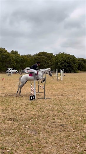 FIRST EVER SHOW OMG SHE WAS SO GOOD #horse #jumping #equestrian