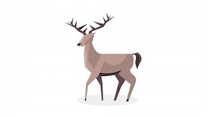 Reindeer Animal Spring Season Animation 4k Stock Footage Video (100% Royalty-free) 1101527843 | Shutterstock